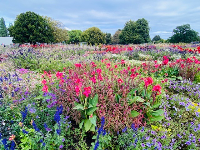 Bienengarten anlegen Bienenkönig Niederrhein