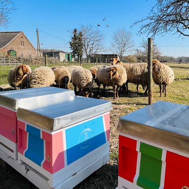 Naturhof Kevelaer Imkerei Bienenkönig Niederrhein