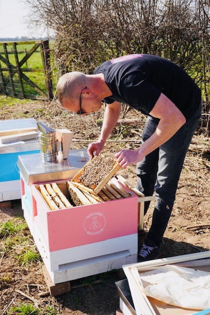 Timo bei der Arbeit mit Bienen - Bienenkönig Niederrhein