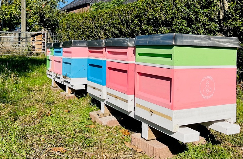 Bienenstand Byfangshof Keylaer Imkerei Bienenkönig Niederrhein