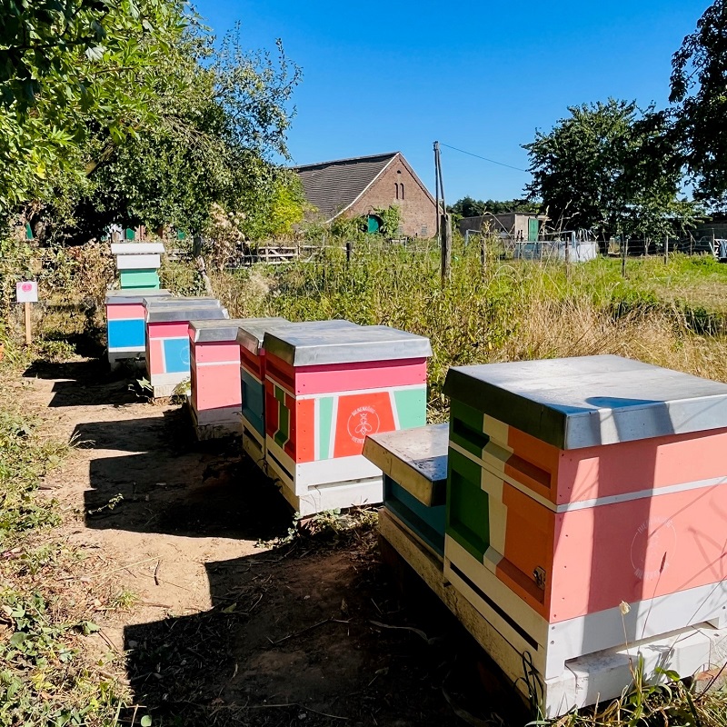 Honig beim Naturhof Kevelaer Imkerei Bienenkönig Niederrhein