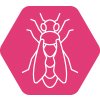 Arbeitering Icon Imkerei Bienenkönig Niederrhein
