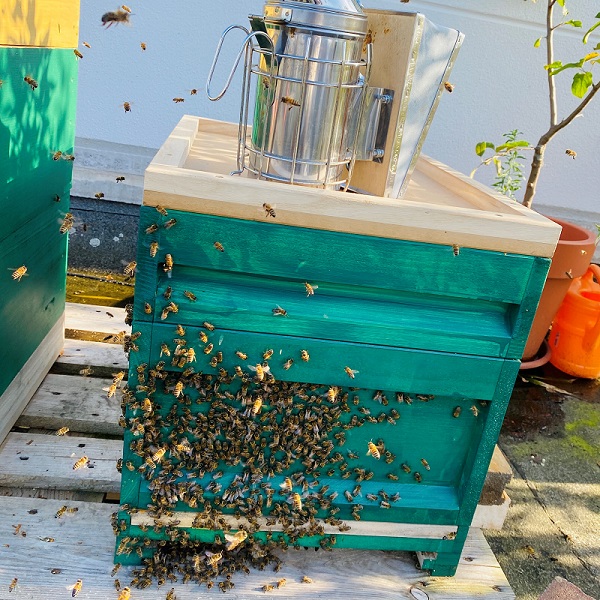 Bienenstand Weeze Imkerei Bienenkoenig Niederrhein
