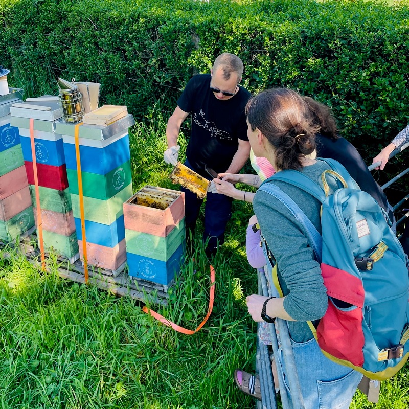 Besuch bei den Bienen Imkerei Bienenkönig Niederrhein