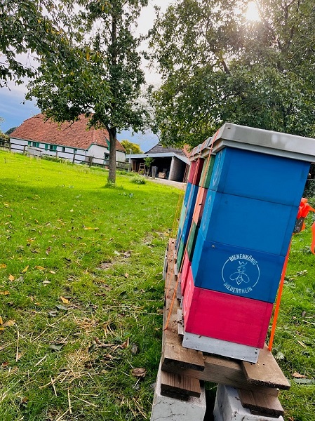 Hausstand Schneppenbaum Imkerei Bienenkönig Niederrhein