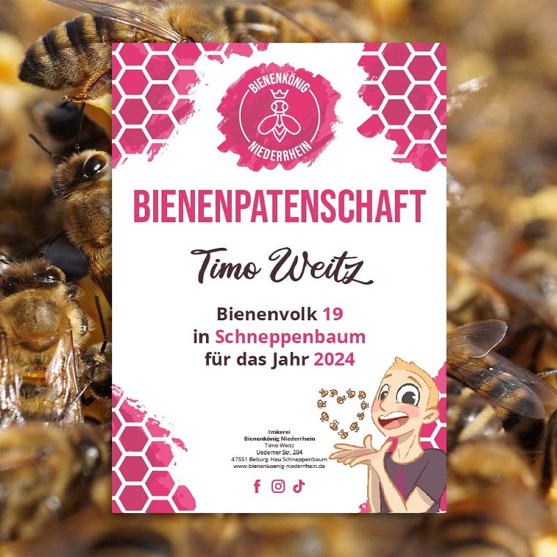 Bienenpatenschaft 2024 Imkerei Bienenkönig Niederrhein SchneppenbaumBedburg-Hau