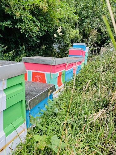 Bio Imkerei Stand Kevelaer Imkerei Bienenkönig Niederrhein