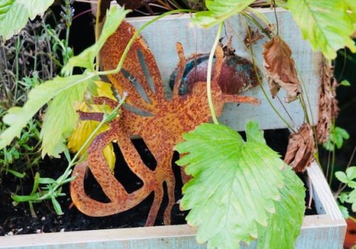 Honigbiene Imkerdeko Bienenkönig Niederrhein