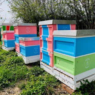 Naturhof Kevelaer Schäferei Imkerei Bienenkönig Niederrhein