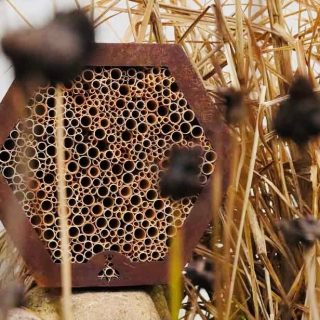 Wildbienenhotel Insektenhotel Imkerei Bienenkönig Niederrhein