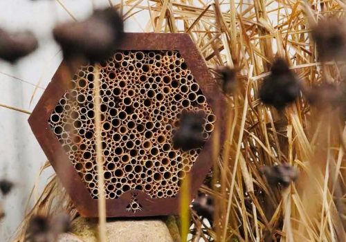 Wildbienenhotel Insektenhotel Imkerei Bienenkönig Niederrhein