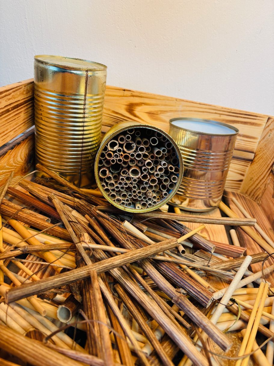 Zwei Dosen und ein Behälter mit Röhren, umgeben von Holzstreifen.