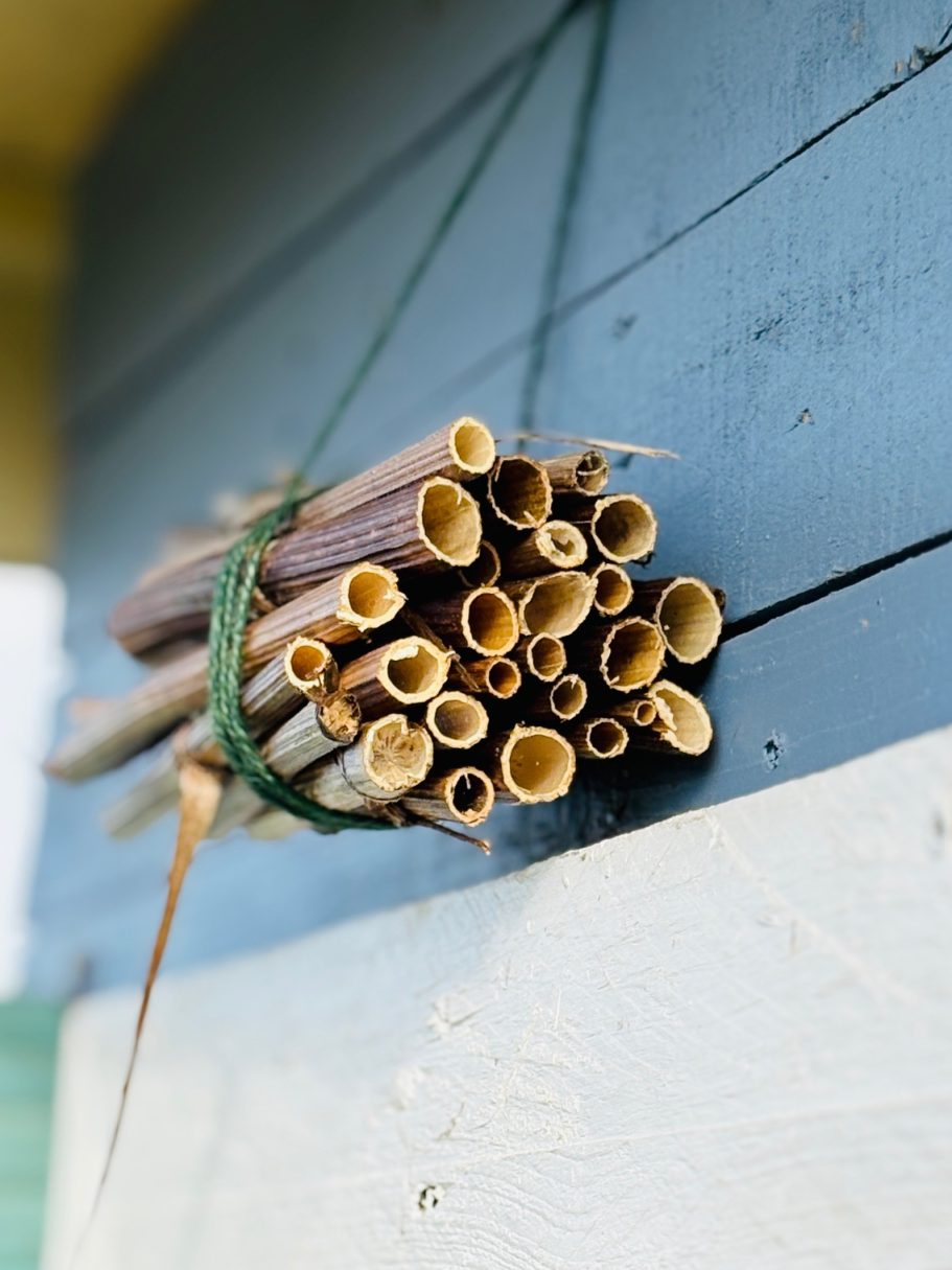 Eine Ansammlung von dünnen, hohlen Stangen, an einer Wand befestigt.