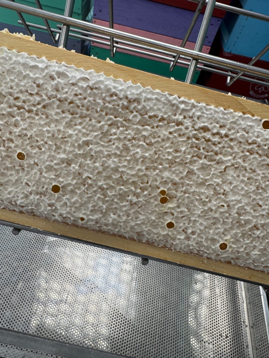 Wabenstruktur mit kleinen Löchern auf einem hellen Untergrund.