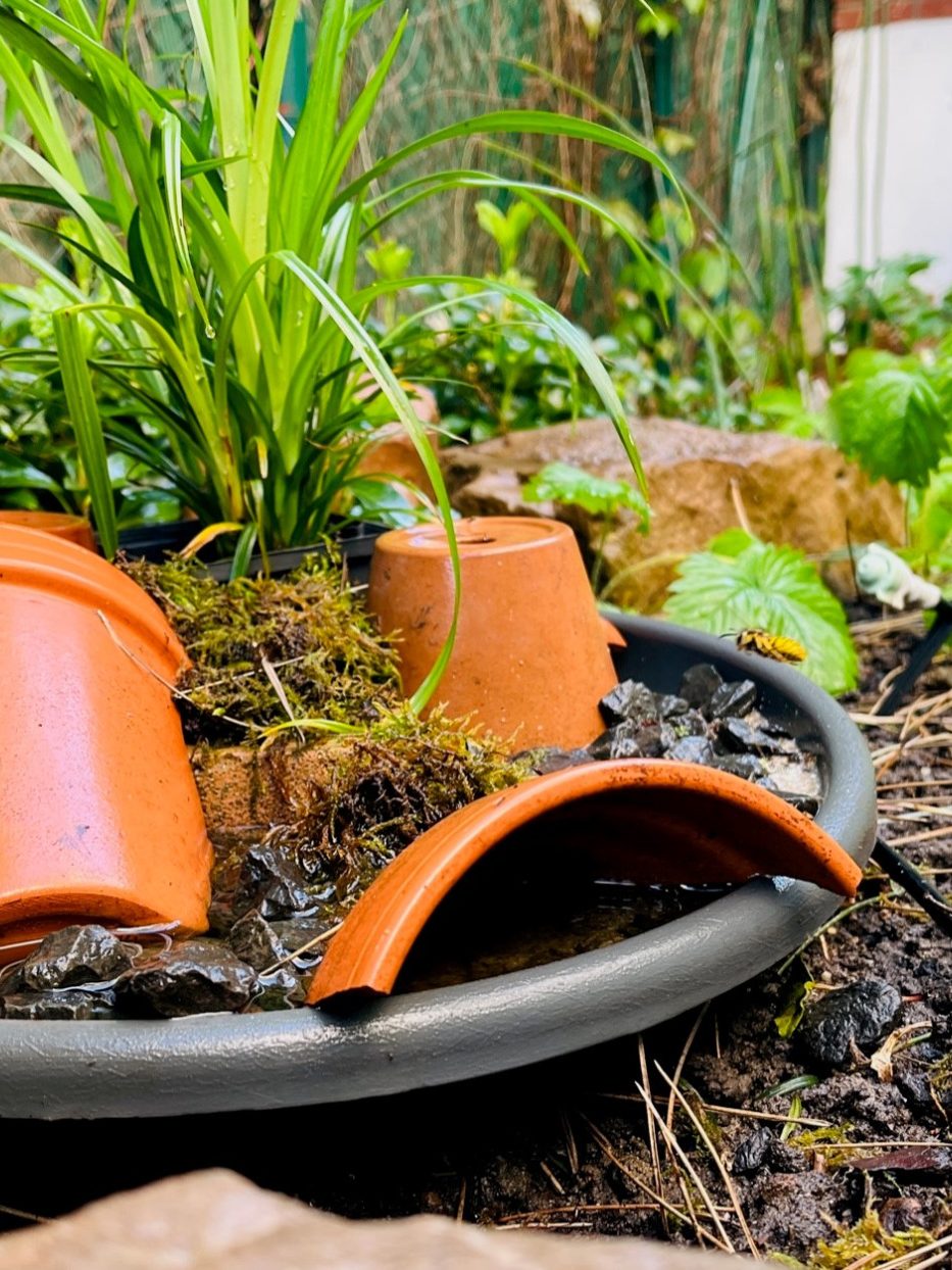 Ein Pflanzbereich mit Blumentöpfen und frischem Grün, umgeben von Erde und Steinen.