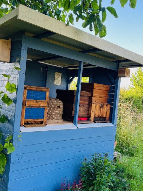 Blaues Bienenhaus mit Pflanzen drumherumg un deiversenn bienenbeuten