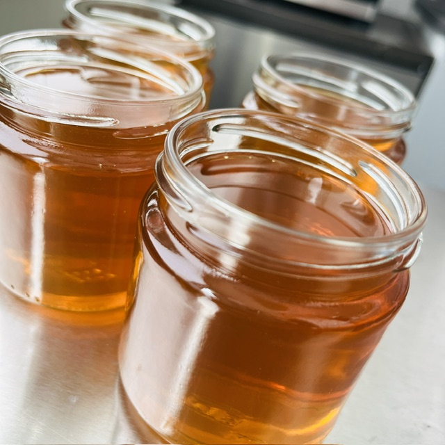 Vier Gläser mit goldenem, klaren Sirup stehen auf einer Oberfläche.