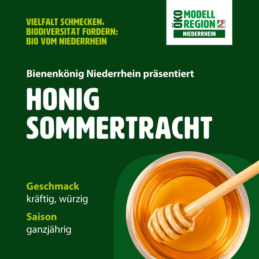 Honig Sommertracht mit goldener Farbe, kräftig-würzig, ganzjähriger Genuss.