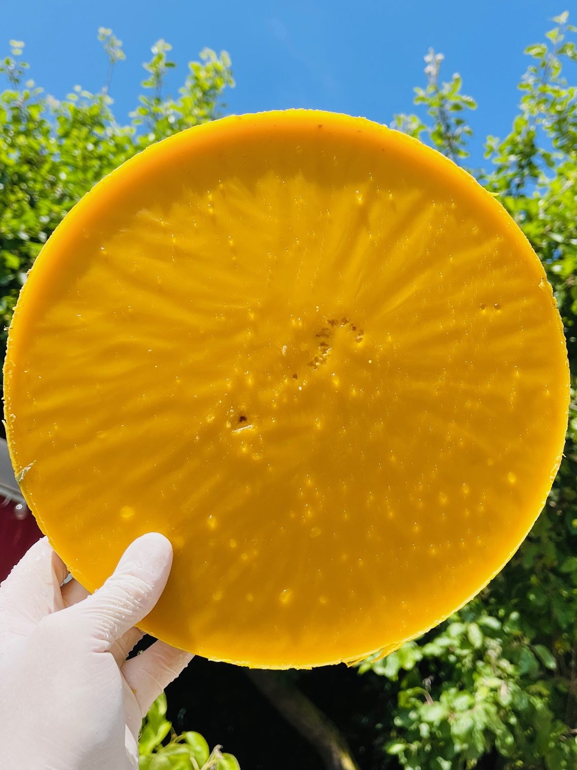 Eine große runde Scheibe aus orangefarbenem Wachs wird gegen einen blauen Himmel gehalten.